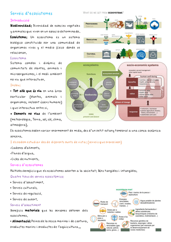 Serveis-decosistemes.pdf