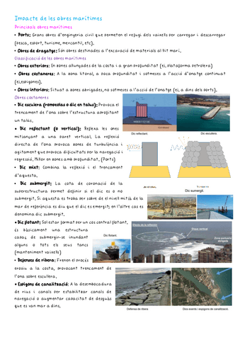 Impacte-de-les-obres-maritimes.pdf