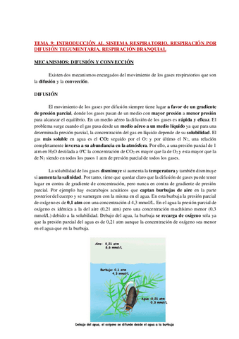 AP-FISIO-ANIMAL-COMPARADA-TEMA-9-WH.pdf