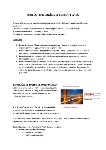 Tema-2.-SUELO-PELVICO.pdf