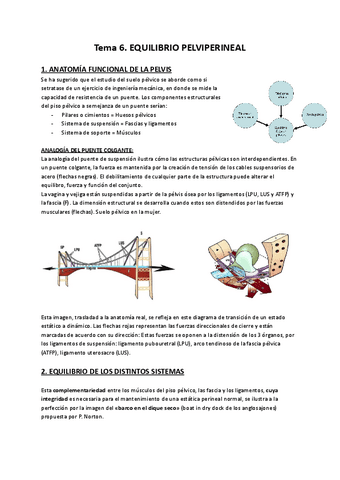 Tema-6.-SUELO-PELVICO.pdf