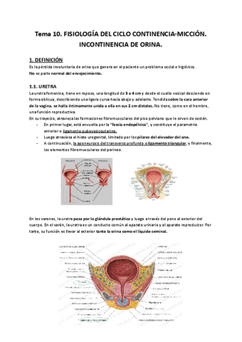 Tema-10.-SUELO-PELVICO.pdf