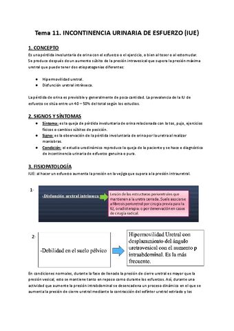 Tema-11.-SUELO-PELVICO.pdf