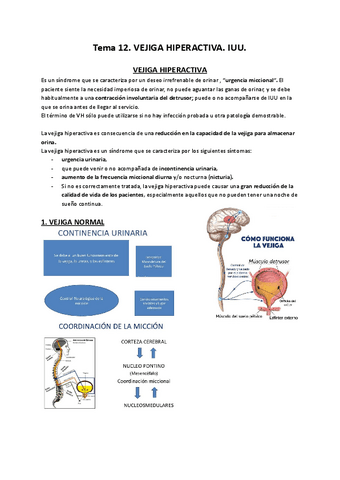 Tema-12.-SUELO-PELVICO.pdf