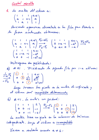 1er-parcial-resuelto-mates-12022.pdf