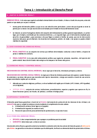 Drecho-Penal-1-tema1.pdf