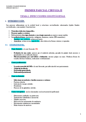 Apuntes-primer-parcial-Cirugia-II-claudia-callejo-segovia.pdf