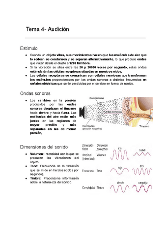 Tema-4-Audicion.pdf