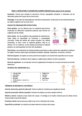 TEMA-1-APUNTES-Y-SEMINARIOS.pdf