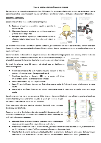 TEMA-3-APUNTES-Y-SEMINARIOS.pdf