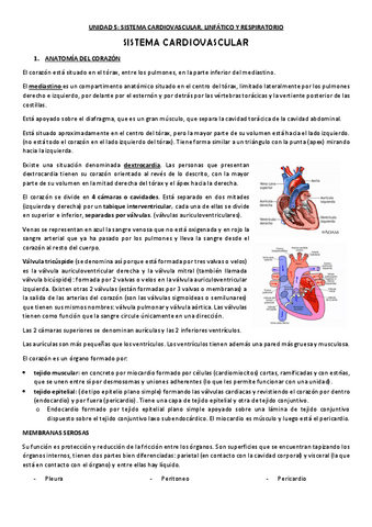 TEMA-5-APUNTES-Y-SEMINARIOS.pdf