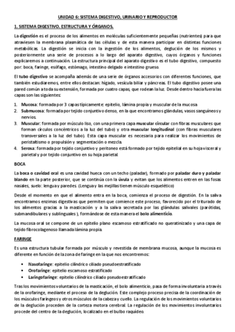 TEMA-6-APUNTES-Y-SEMINARIOS.pdf