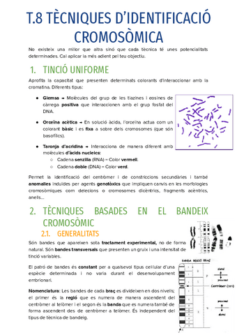 T.8-TECNIQUES-DIDENTIFICACIO-CROMOSOMICA.pdf