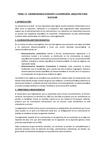 Tema 13.-Arquitectura nuclear.pdf