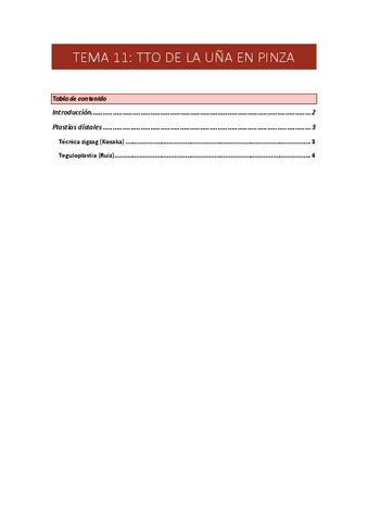 TEMA-11-TTO-UNA-PINZA.pdf