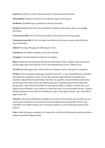 Definicions-Sele.pdf