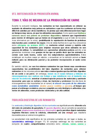 BIOTECNOLOGIA-ANIMAL-7.pdf