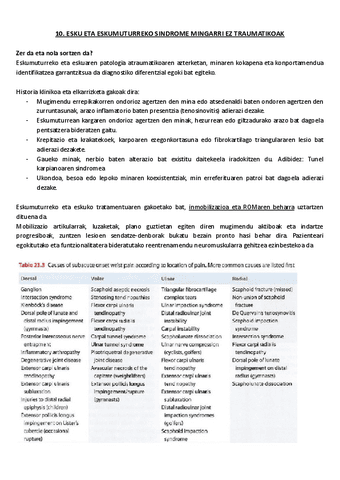 10.-Esku-eta-eskumuturreko-sindrome-mingarri-ez-traumatikoak.pdf