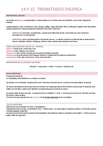 14 y 15. Trematodos digenea.pdf