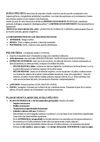 1-ANATOMIA-SUELO-PELVICO.pdf