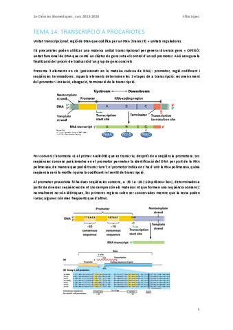 Tema-14.-Transcripcio-a-procariotes.pdf