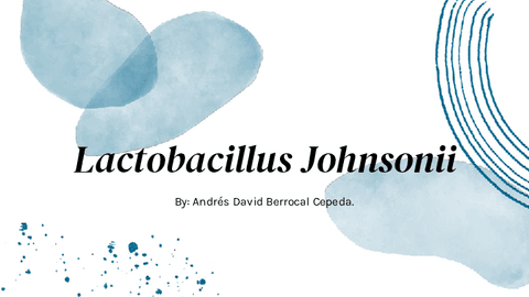 EXPOSICION-ORAL-BACTERIA.pdf