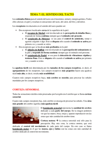 TEMA-7.pdf