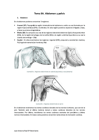 Tema-3A.pdf