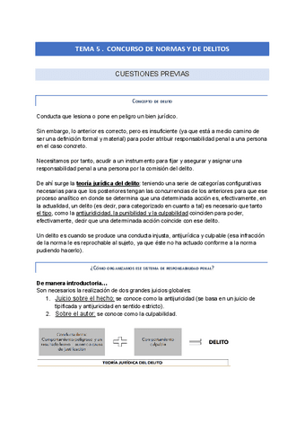 tema-5-derecho-penal.pdf