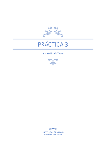 Practica-Instalacion-de-Vapor.pdf