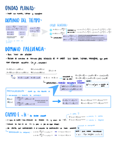 Copy-of-Resumen-T3-Sara-Pinon.pdf