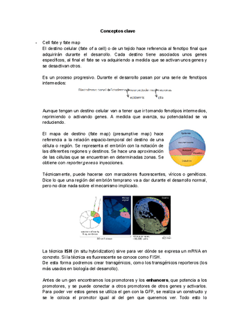 TEMA-2.1.-Conceptos-clave.pdf