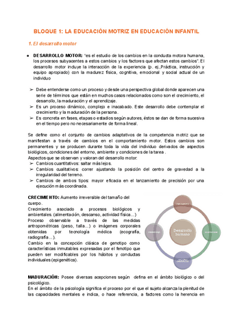 DESARROLLO-1.pdf