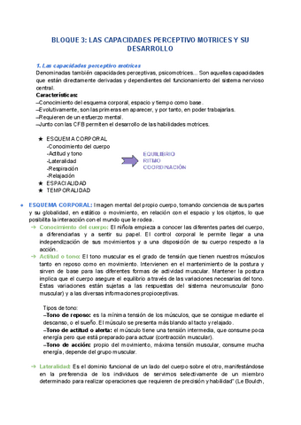 DESARROLLO-3.pdf