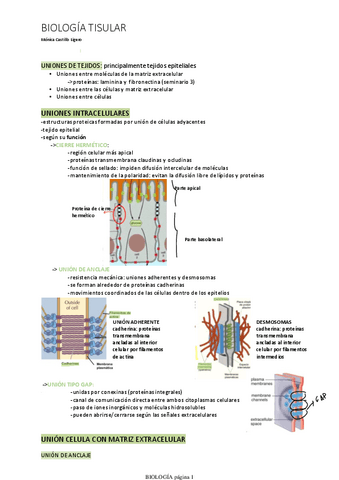 BIOLOGIA-TISULAR-resumen-completo.pdf