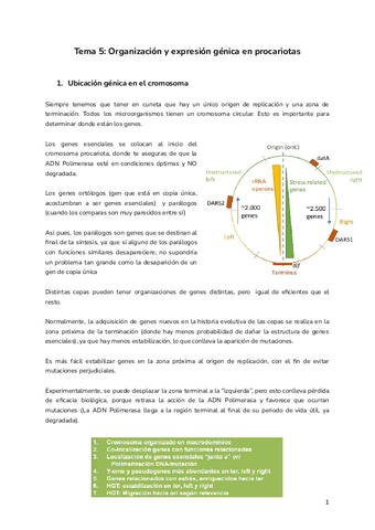 Tema-5-Organizacion-y-expresion-genica-en-procariotas.pdf