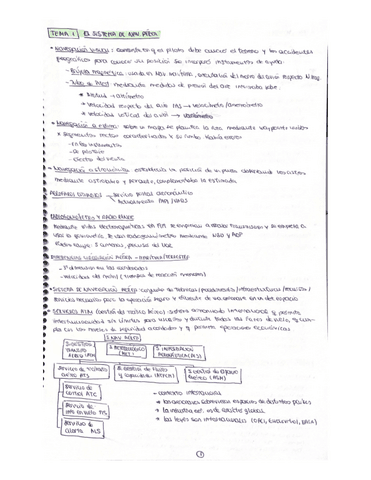 RESUMEN-TEMARIO-EXAMEN.pdf