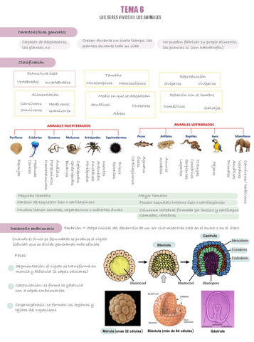 Tema-6-Naturales-I.pdf