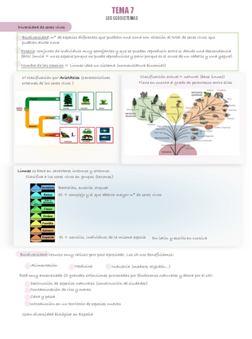 Tema-7-Naturales-I.pdf