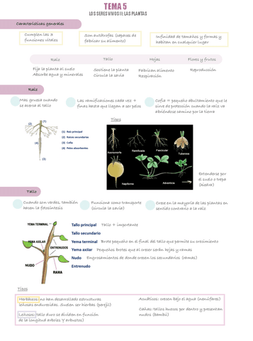 Tema-5-Naturales-I.pdf