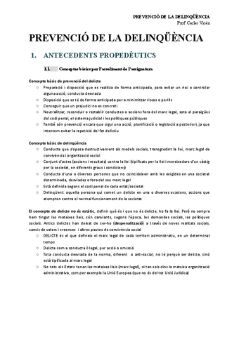 Teoria completa - Prevenció de la delinqüència.pdf