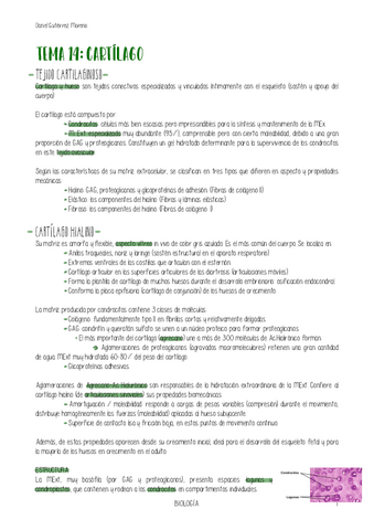 TEMA-14-BIOLOGIA.pdf