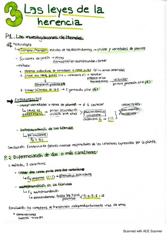 BIOLOGIA-LAS-LEYES-DE-LA-HERENCIA-MENDEL-GENETICA-LIGADA-AL-SEXO.pdf