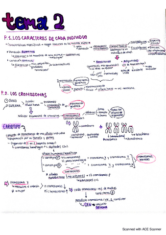 BIOLOGIA-CROMOSOMAS-CLONES-CLONACION-INFORMACION-GENETICA-CELULAS-REPRODUCTORAS.pdf