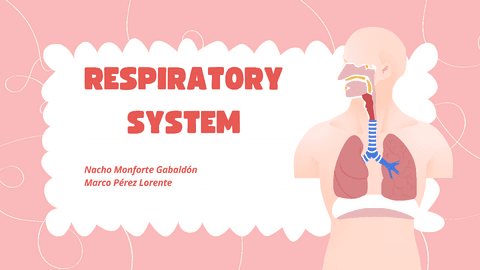 Respiratoy-system-presentation.pdf
