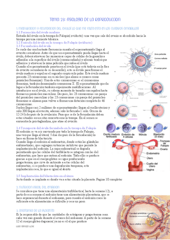 tema-23fisiologia-de-la-reproduccion-fisiologia.pdf