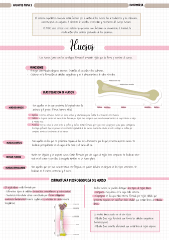 Apuntes-Tema-3-Tecnicas.pdf