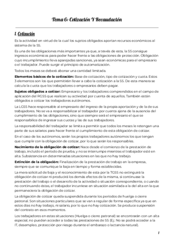 Tema-6-Derecho-de-la-SS.pdf