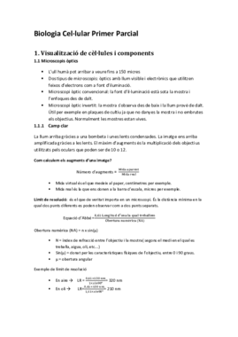 1r PARCIAL BIOCEL.pdf