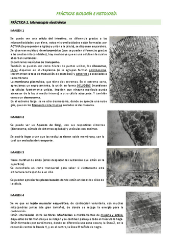 practicas-bio-e-histo-23-24.pdf